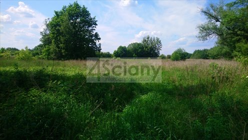 działka na sprzedaż 18960m2 działka Grodzisk Mazowiecki