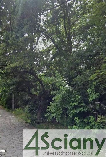 działka na sprzedaż 2500m2 działka Milanówek