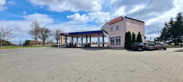 lokal użytkowy na sprzedaż 330m2 lokal użytkowy Borki