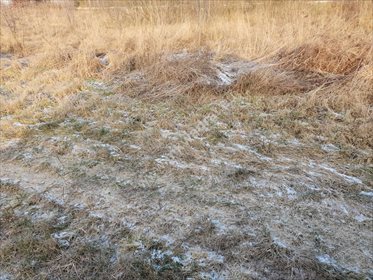 działka na sprzedaż 5157m2 działka Warszawa, Białołęka, Tarchomin, Modlińska