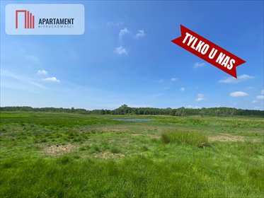 Na sprzedaż działka rolna 19 000 m² nad Dziwną w Jarzębowie działka Jarzębowo