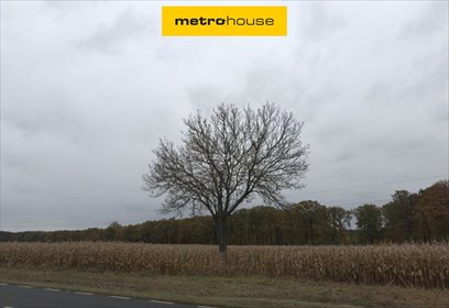 działka na sprzedaż 55000m2 działka Sanie