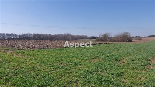 działka na sprzedaż 10051m2 działka Żuromin