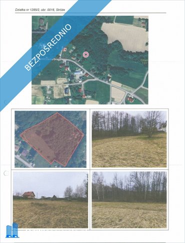 Działka 6504 m² w Stróżach – bez prowizji, atrakcyjna oferta działka Stróże