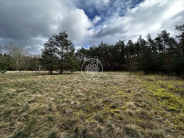 działka na sprzedaż 2194m2 działka Przyłęki