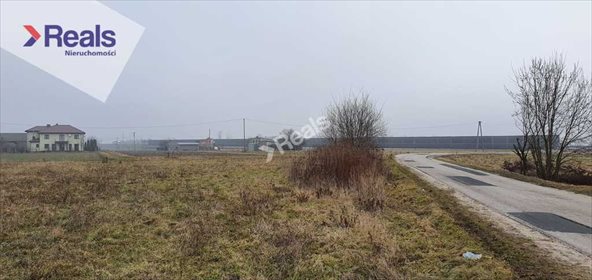 Działka budowlana na sprzedaż Marków-Towarzystwo 7 000m2 Foto 3