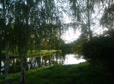 Dom na sprzedaż Popowo Kościelne, 38 650m2 Foto 5