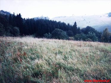 Działka budowlana na sprzedaż Bronowiec 23 000m2 Foto 2
