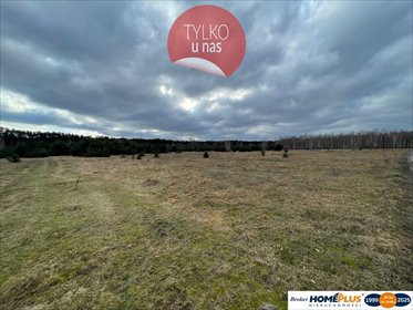 działka na sprzedaż 2500m2 działka Arciechów