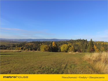 Działka rolna na sprzedaż Trybsz, Łapsze Niżne 3 000m2 Foto 5