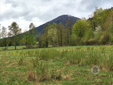 Działka 4800 m² z widokiem na góry - Jaworek działka Jaworek