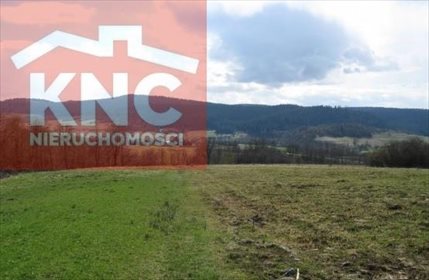 działka na sprzedaż 56900m2 działka Daliowa