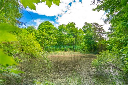 działka na sprzedaż 5500m2 działka Grodzisk Mazowiecki