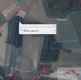 działka na sprzedaż 13000m2 działka Hermanowice