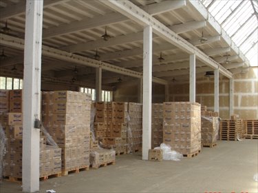 Magazyn na sprzedaż Legnica 5 050m2 Foto 5