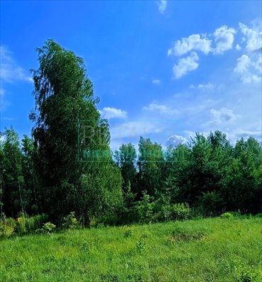 działka na sprzedaż 1500m2 działka Kozerki