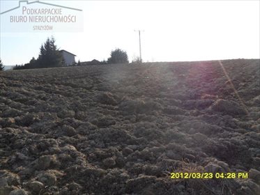 Działka budowlana na sprzedaż Wysoka Strzyżowska 1 900m2 Foto 2