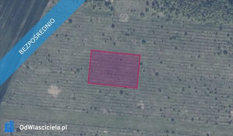 działka na sprzedaż 3011m2 działka Gołębiewo Wielkie