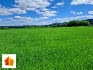 działka na sprzedaż 3000m2 działka Wielopole Skrzyńskie