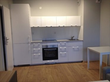 mieszkanie na wynajem 50m2 mieszkanie Poznań, Centrum, POLANKA,KATOWICKA,BLISKO,POLITECHNIKA,NOWE BUDOWNICTWO,MALTA