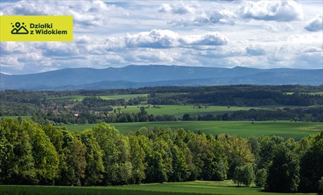 działka na sprzedaż 1400m2 działka Wojciechów, Wojciechów