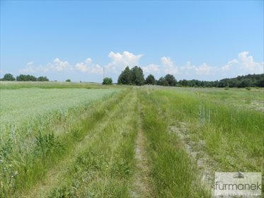 Działka rolna na sprzedaż Gózd Lipiński 11 400m2 Foto 6