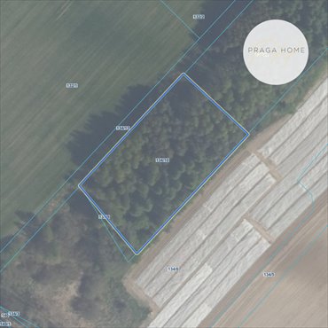 działka na sprzedaż 1600m2 działka Zwierzewo