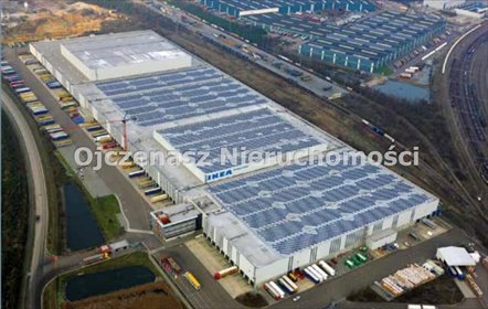 działka na sprzedaż 8303m2 działka Gorzów Wielkopolski