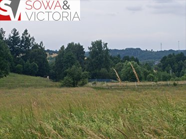 Na sprzedaż działka pod zabudowę w otoczeniu lasu i górskich szlaków działka Stare Bogaczowice
