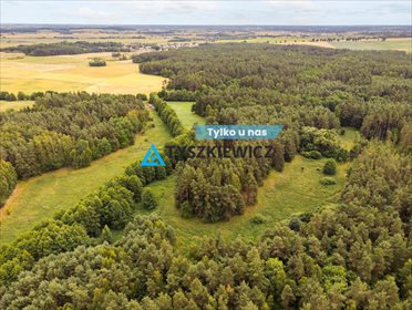 działka na sprzedaż 7500m2 działka Gołębiewo Wielkie, Maciejki