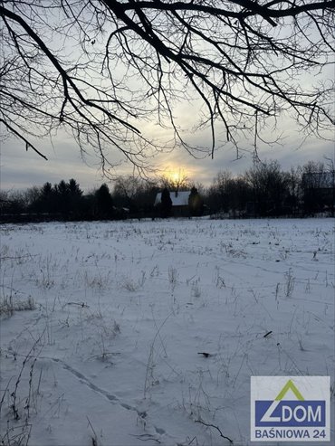 działka na sprzedaż 2878m2 działka Nasutów, Aleja Lipowa, Aleja Lipowa