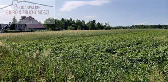 Działka budowlana na sprzedaż Glinik Górny 3 200m2 Foto 1