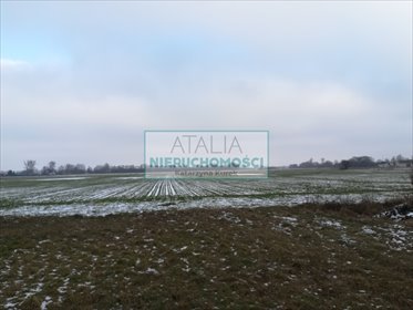 Działka 22 000 m² przy drodze gminnej w Żabach działka Żaby