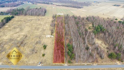 Działka gospodarstwo rolne na sprzedaż Wierzchowisko 5 390m2 Foto 5