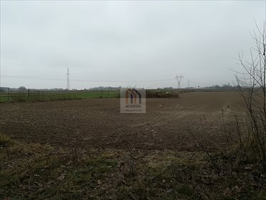 Działka budowlana na sprzedaż Iżyce 9 700m2 Foto 4
