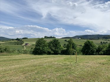 Działka budowlana na sprzedaż Żbikowice 1 226m2 Foto 4