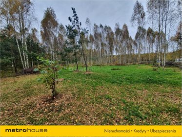 Działka budowlana na sprzedaż Rańsk, Dźwierzuty 1 094m2 Foto 4