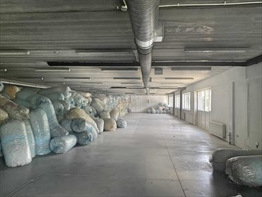 Magazyn na sprzedaż Paszyn 3 532m2 Foto 5