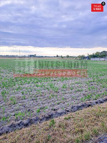 działka na sprzedaż 5197m2 działka Opole, Grotowice