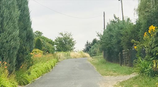 Działka budowlana na sprzedaż Siodłkowice 2 640m2 Foto 5