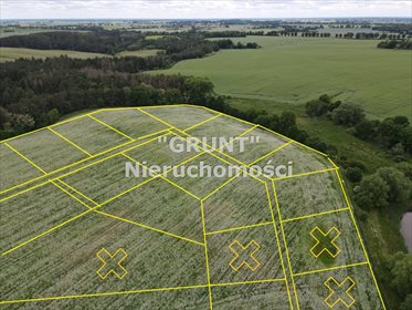 Działka inna na sprzedaż Nowy Dwór 3 000m2 Foto 1