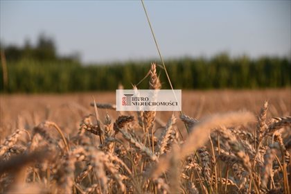 Działka budowlana na sprzedaż Łuków Śląski 3 750m2 Foto 2