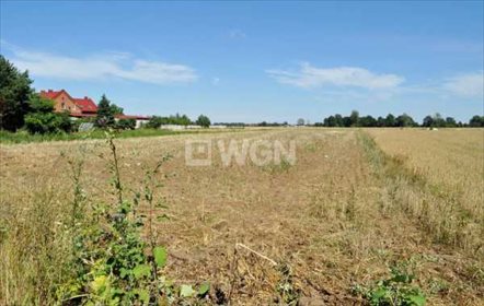 Działka rolna na sprzedaż Piersna, Piersna 4 400m2 Foto 3