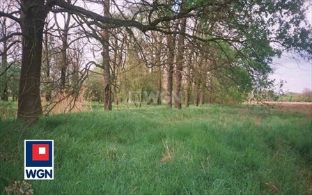 działka na sprzedaż 66000m2 działka Uraz, Uraz