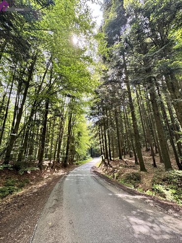 działka na sprzedaż 9900m2 działka Gwoźnica Dolna, Gwoźnica Dolna