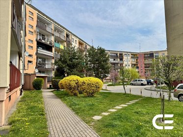 mieszkanie na sprzedaż 48m2 mieszkanie Oleśnica, Mikołaja Kopernika