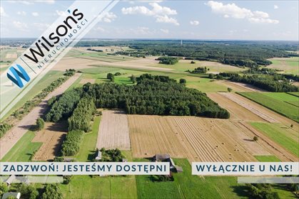 Działka budowlana na sprzedaż Dębe 9 800m2 Foto 1