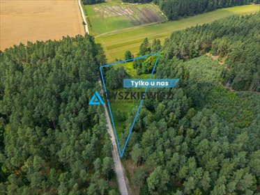 działka na sprzedaż 8246m2 działka Dobra, Leśna