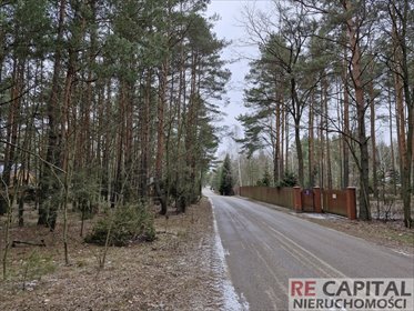Polecam działkę leśną 3 024 m² z potencjałem rozbudowy działka Wysychy, Leśna