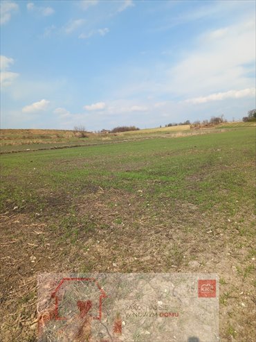 działka na sprzedaż 6600m2 działka Jakubowice Murowane